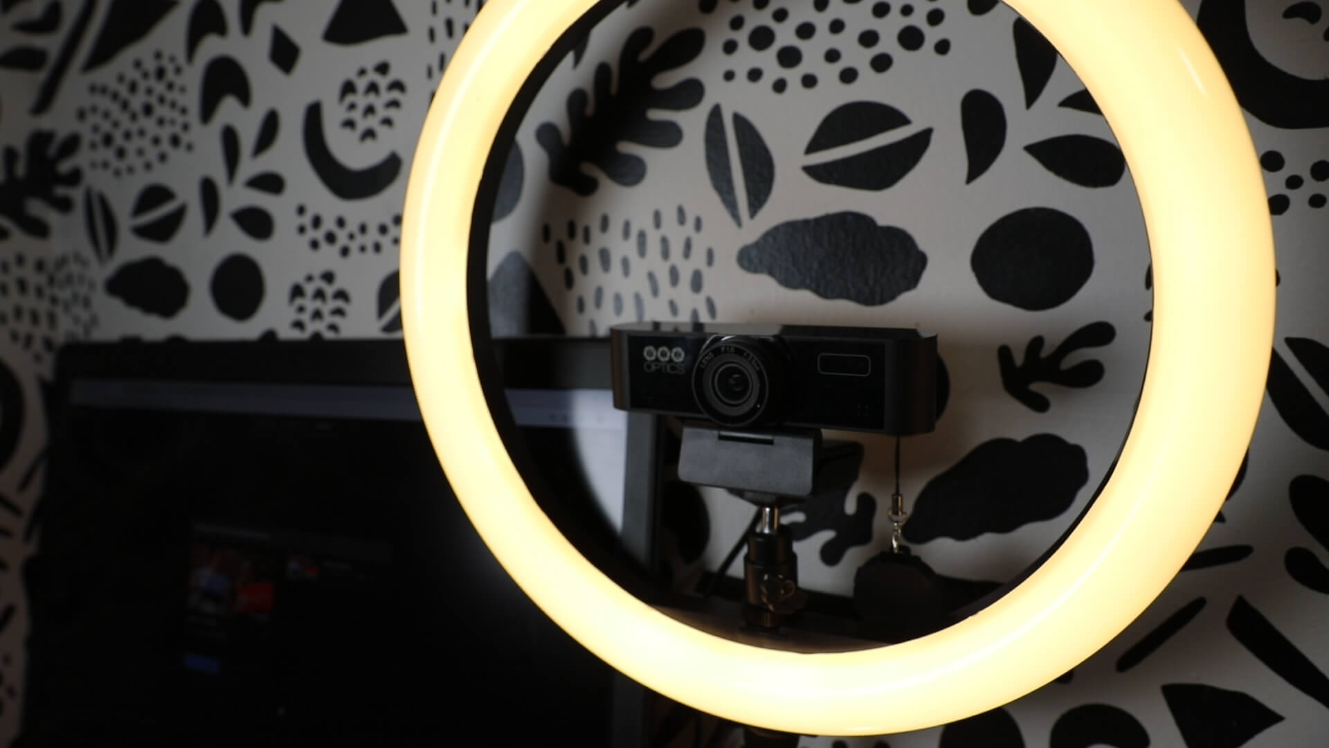 USB Webcam 80 PTZ Optics in light